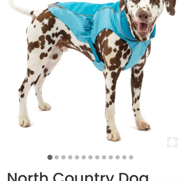 Dog’s North Country Coat. - Picture 4 of 7